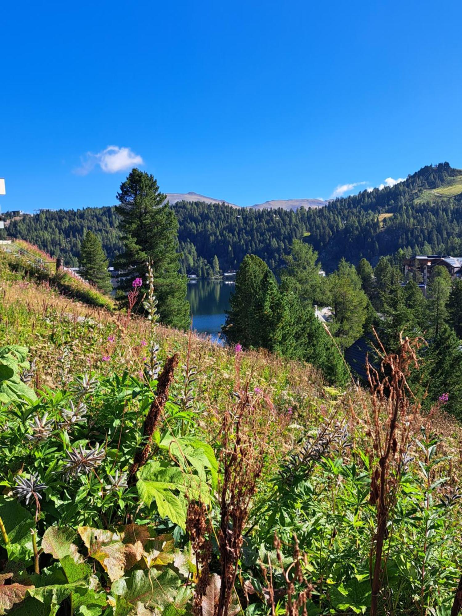 Schwabenhuette Villa Sirnitz-Sonnseite Bagian luar foto